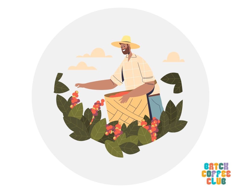 Ethics of coffee roasters icon