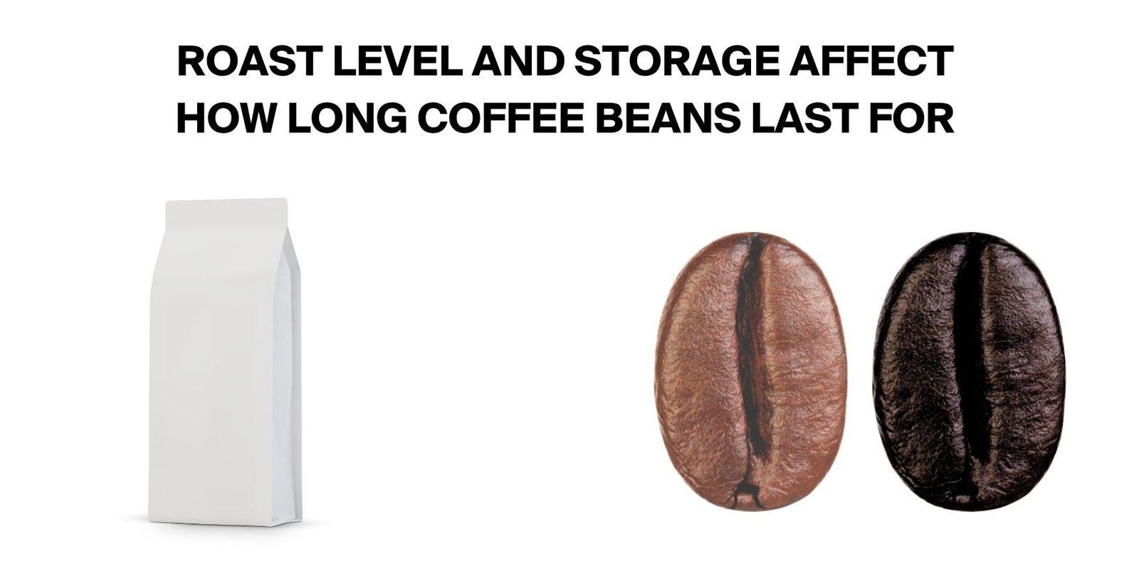 Factorsaffectinghowlongcoffeebeanslastfor How Long Do Coffee Beans Last?