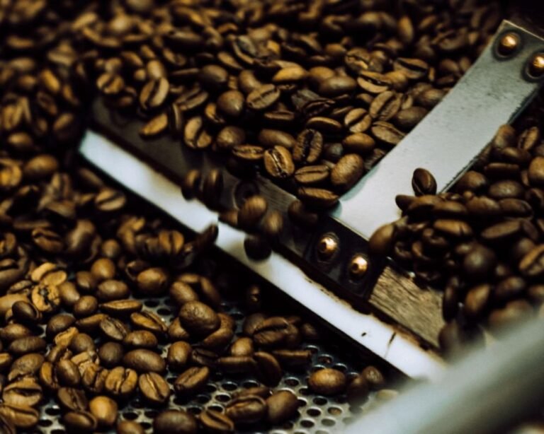 Light Roast vs Dark Roast Coffee: What’s Actually the Difference?