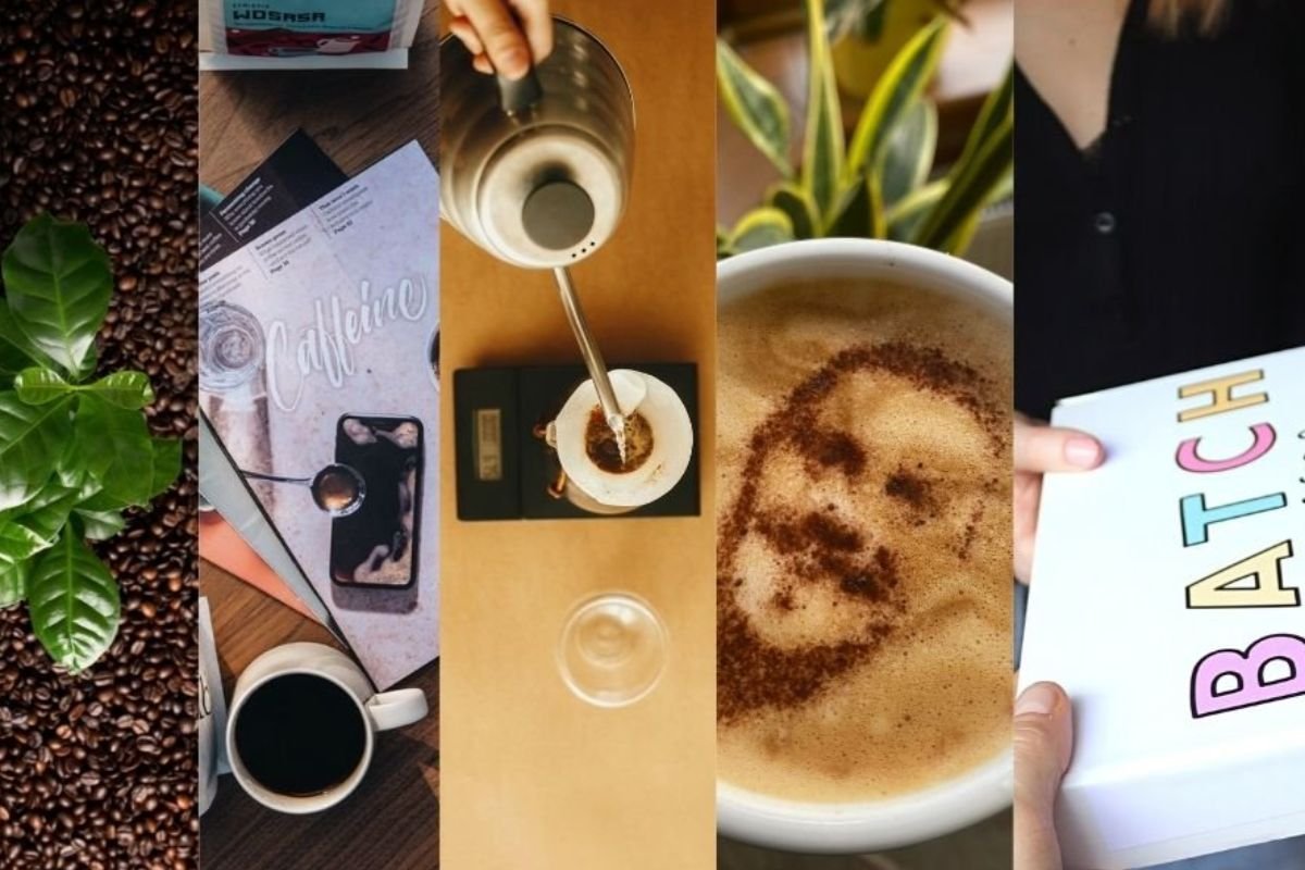 GiftsForCoffeeLovers Can You Grow Coffee At Home?