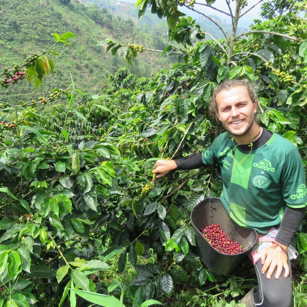 Howdoesaltitudeaffectcoffeegrowth How Altitude Affects the Taste of Your Coffee Beans.