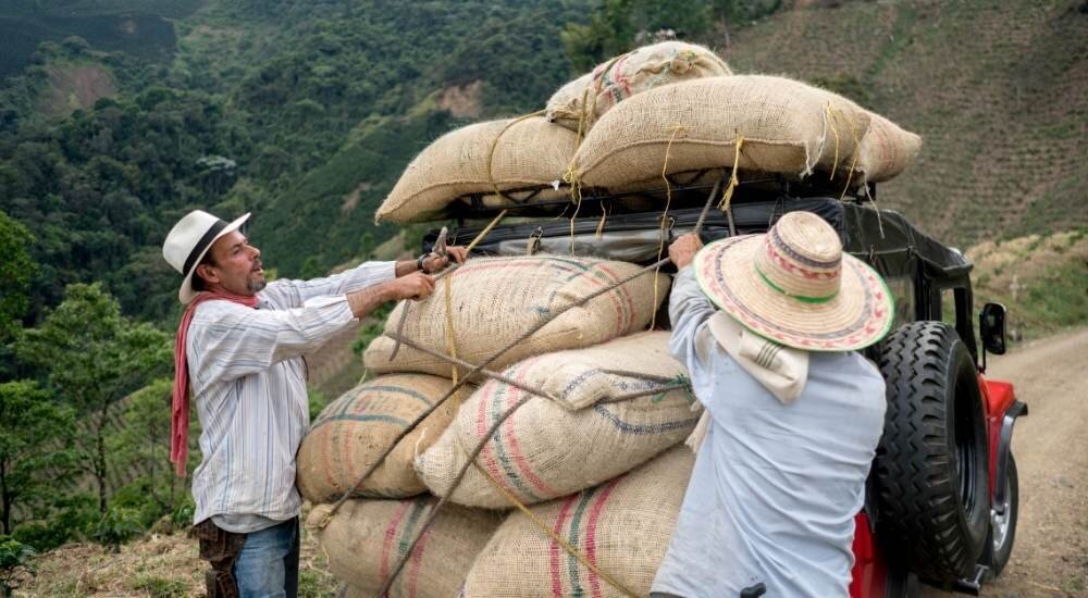 Howlongdoescoffeestayfreshfor3F7CCoffeefarms How Long Does Coffee Last?