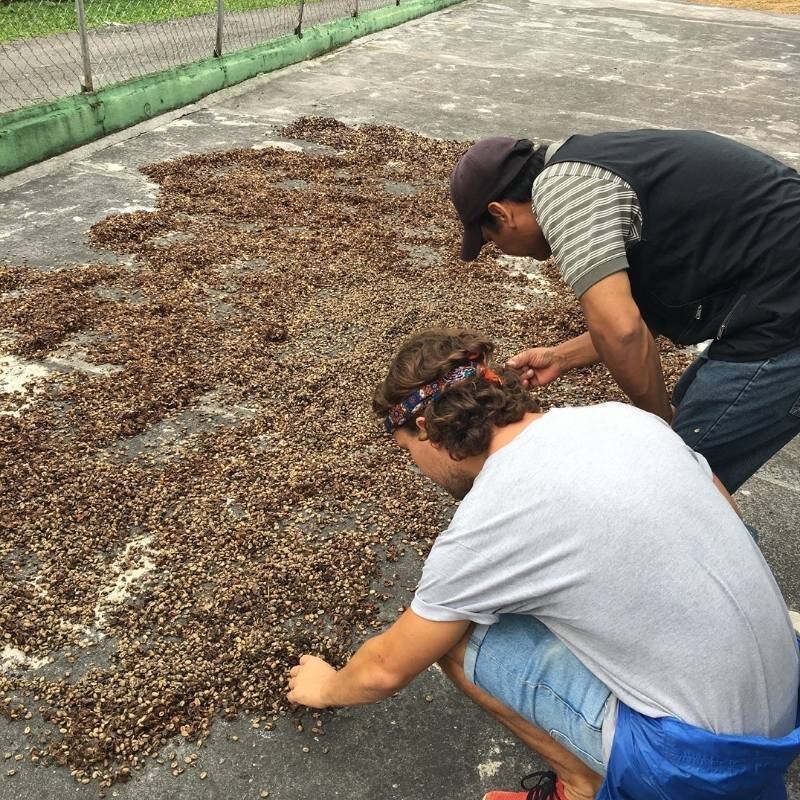 InstantcoffeePanama The Truth About Instant Coffee: From Commodity Beans to Specialty Innovation