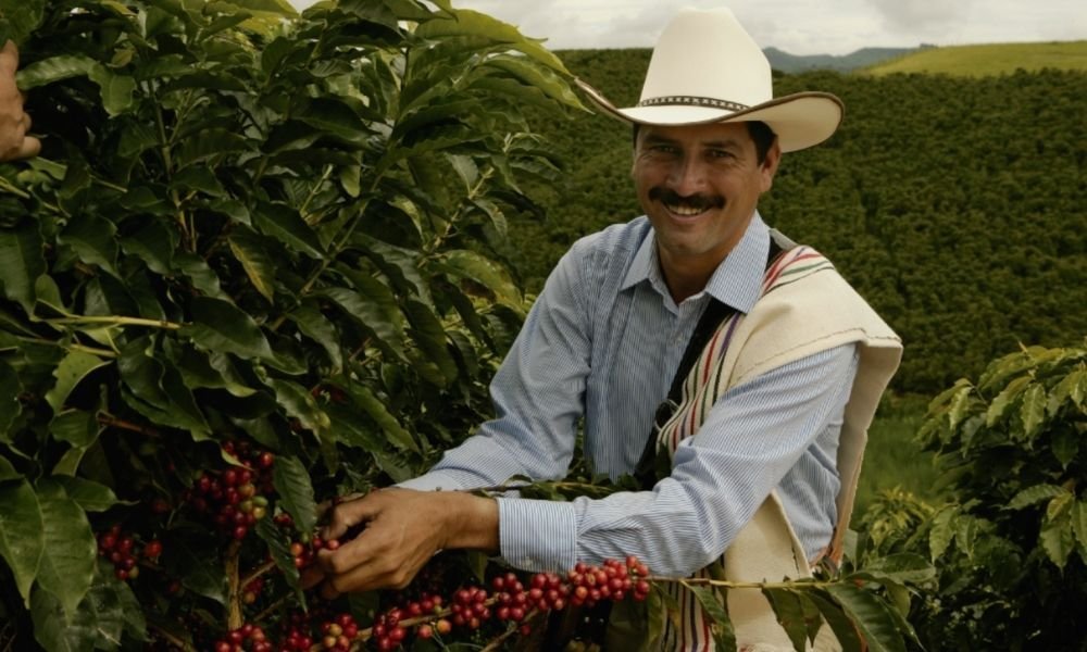 JuanValdez Colombian Coffee: From Mountain to Cup