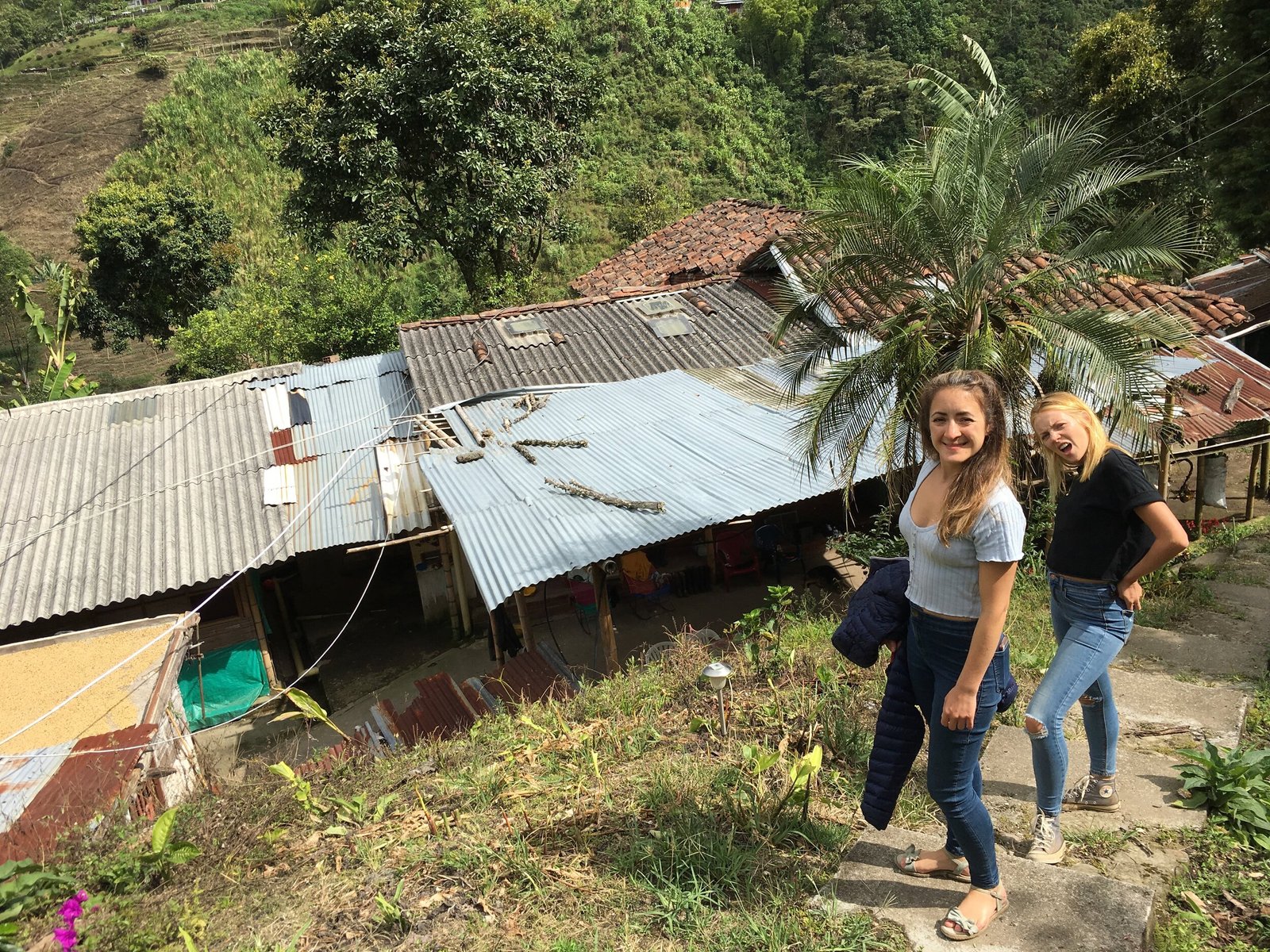 Livingonacoffeefarm7CBatchCoffeeReviewUK7CWorkingonaColombiancoffeefarm7COrganiccoffeeandhowitisprocessed7CSouthAmericancoffeefarming Working on a Colombian coffee farm