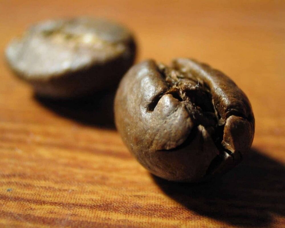 PeaberryCoffeeBeanvsNormal What Is Peaberry Coffee?