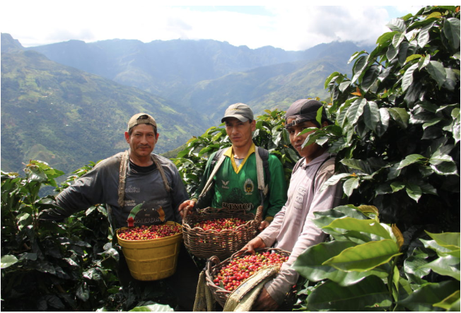 South America 17 Peru South America