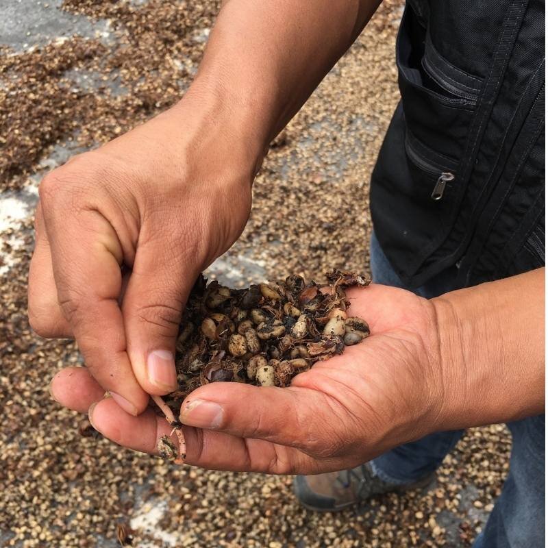 RawInstantCoffee The Truth About Instant Coffee: From Commodity Beans to Specialty Innovation