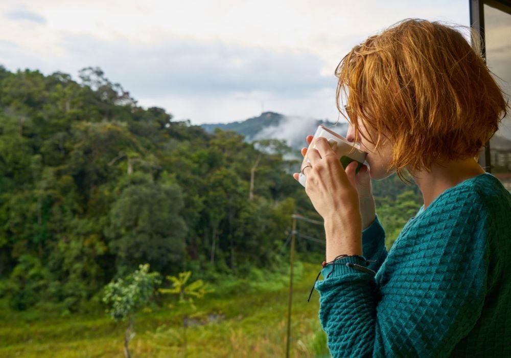 Tastecoffee The Best Coffee For Beginners 2024