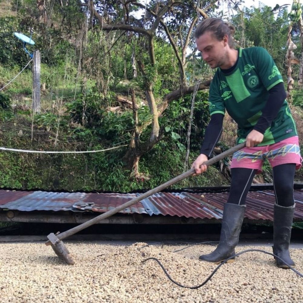 Tomonaperucoffeefarm A Guide To Peru Coffee Beans