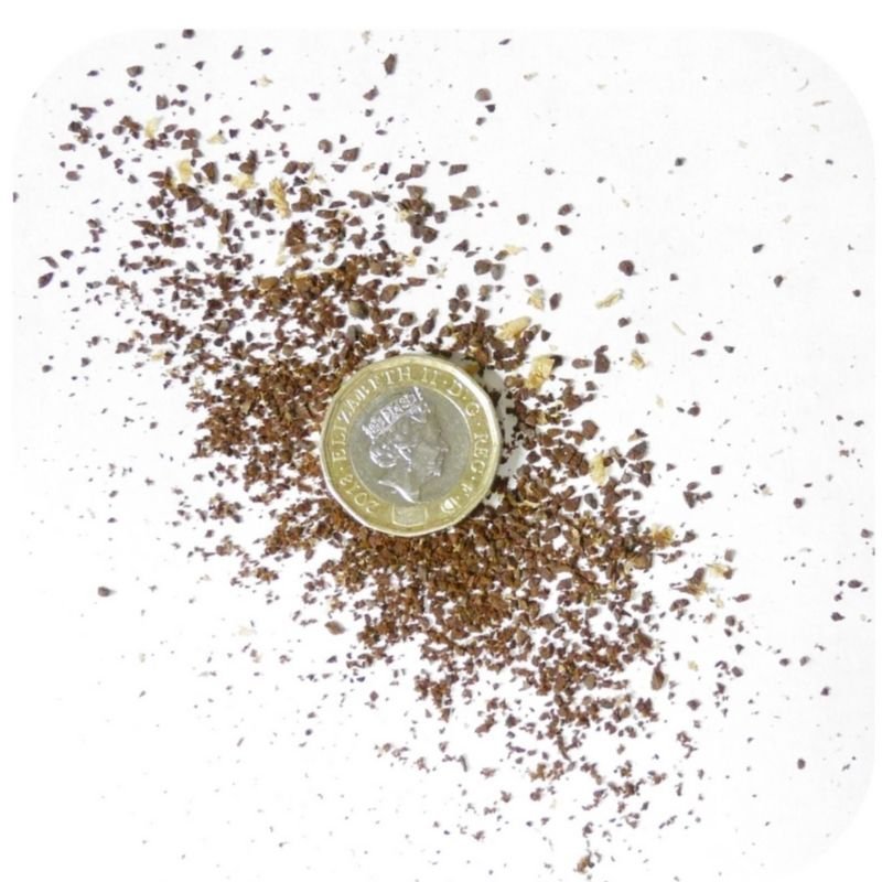 What grind of coffee do you use in a French press?