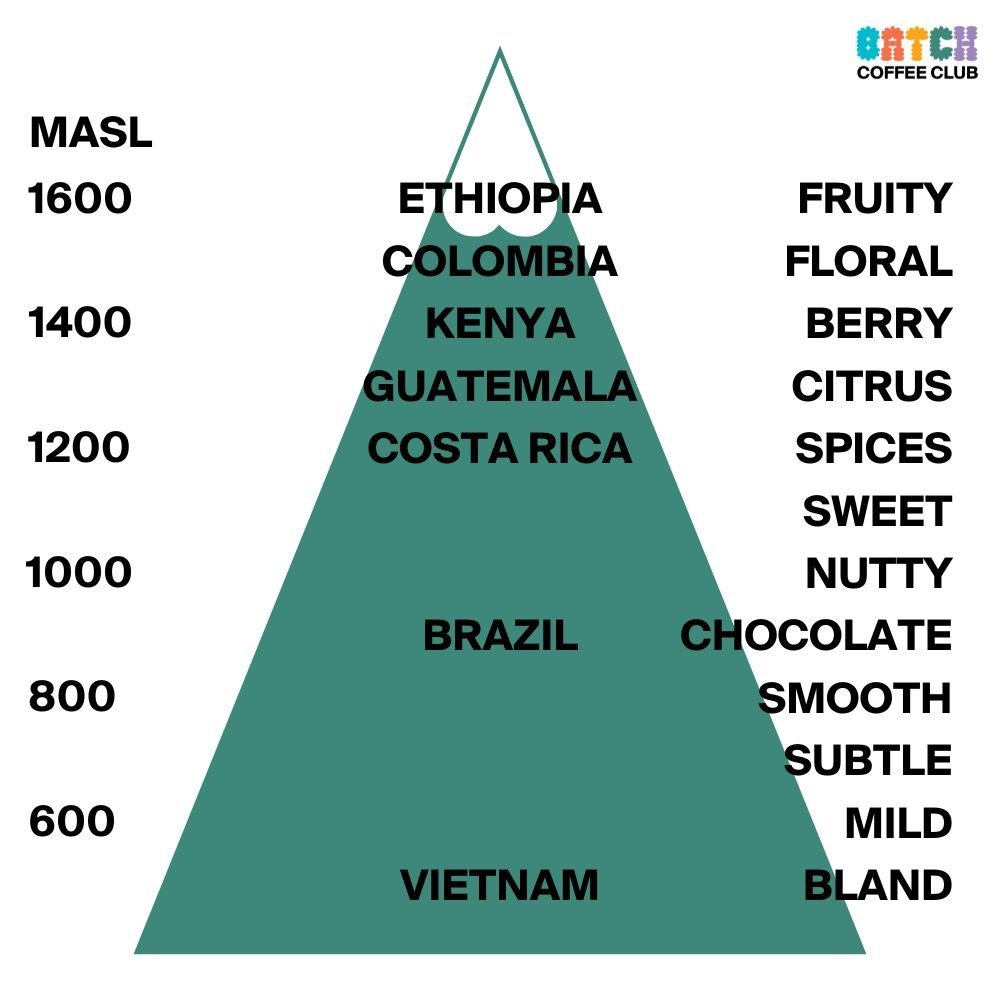 dvsdc28129 How Altitude Affects the Taste of Your Coffee Beans.