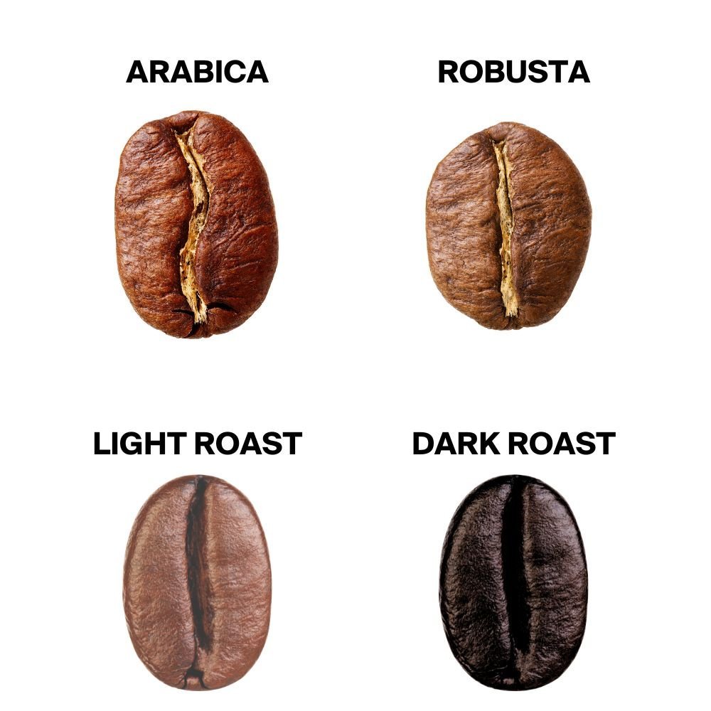 ge How Much Caffeine is in a Coffee Bean?